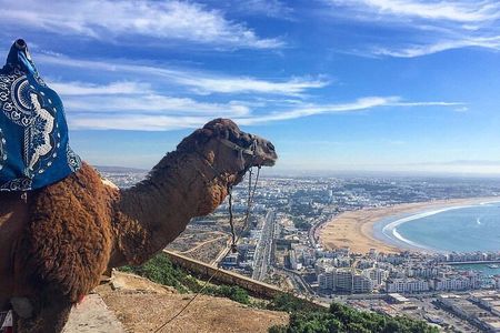 Best Private Agadir City Tour 