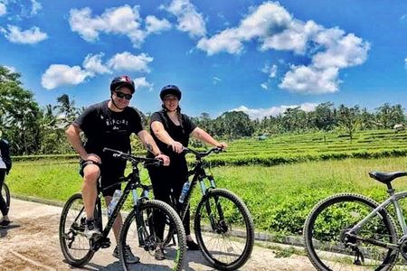 Ubud Wonderful Half Day Downhill Cycling Tour with Lunch