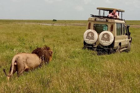 5 Day Adventure Camping Safari to Serengeti, Ngorongoro crater & Tarangire