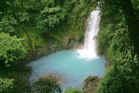 Rio Celeste Waterfall and Sloth Sactuary Full-Day Tour with Lunch