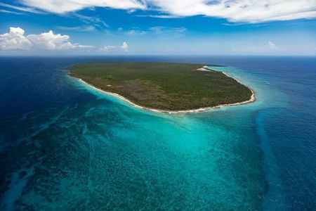 Full-day at Catalina Island from Santo Domingo with optional snorkeling included