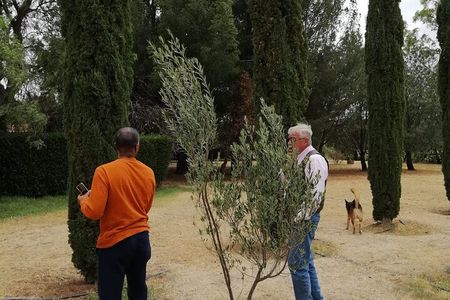 Morning Tour and Olive product tasting