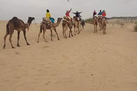 Overnight Camel Safari Private Tour