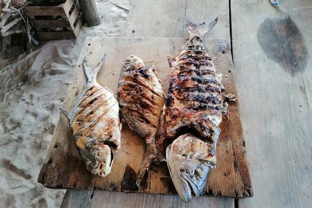 Full Day Tour with Fishing and Snorkeling from Holbox