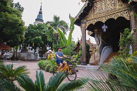 Authentic Chiang Mai 4-Hour Bicycle Tour with Northern Food