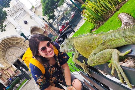 Premium City Tour for Seniors - Guayaquil