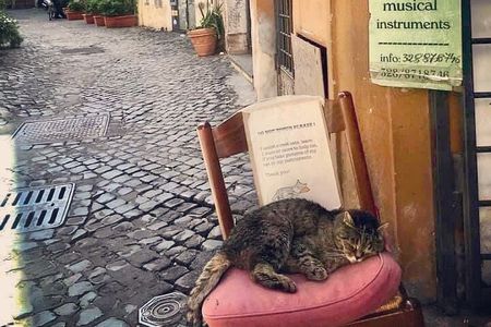 Private Guided Half-Day City Walking Tour in Florence