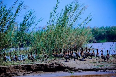 Full-Day Tour Bujumbura With Rusizi Park And Stanley Monument