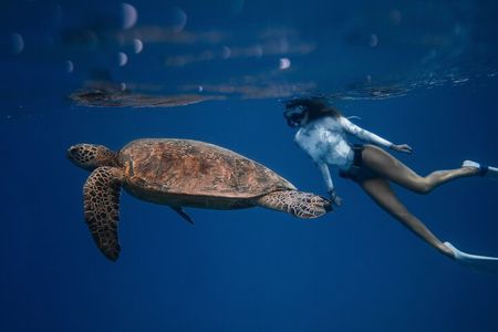 Snorkeling Open Ocean Wildlife Safari in Los Cabos with Photos Included 