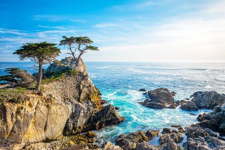 3-Day Tour: San Francisco, Yosemite National Park and LA