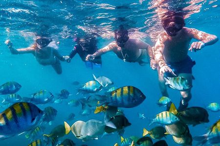 Los Cabos Snorkeling Tour by Speed Boat with Photos Included 