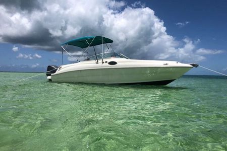 Private Full Day Charter - Stingray City, Starfish Point, Kaibo & Snorkeling