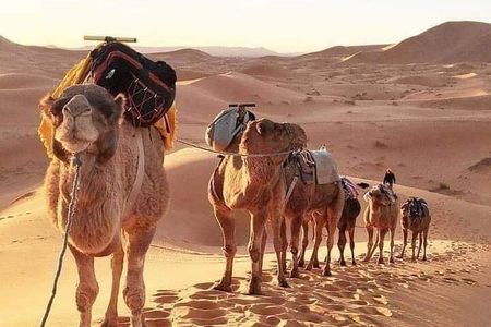Best shared 3 days Fes to Marrakech Desert Tour