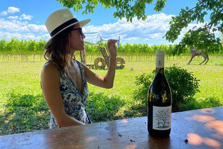 Winery tour and tasting in Grado