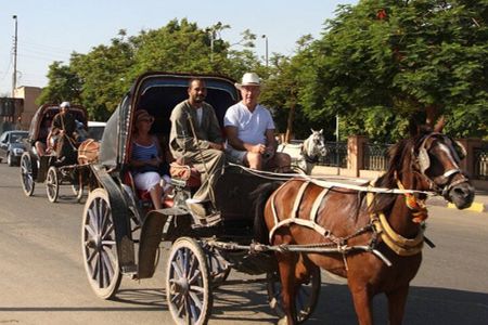 Luxor ancient sights, city Tour with traditional Horse Carriage