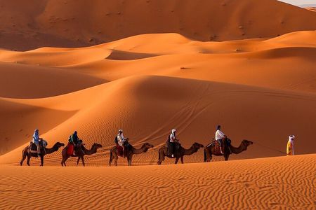 Fes to Sahara Desert 2-Day Tour: Camel Trek, Berber Camp & Sunset