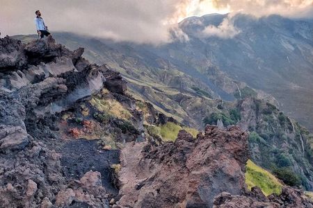 Half-Day Private Walking Tour to Etna, Bove Valley and Silvestri Craters