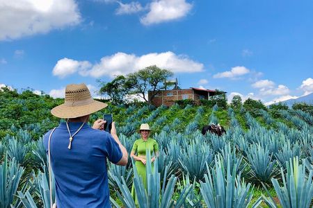 La Fortaleza Tequila and Guachimontones Fully-Private Tour