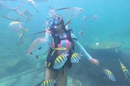 Discover Scuba Diving in San Juan: Perfect for First-Time Divers