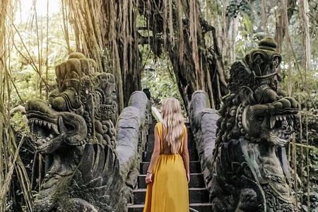 Ubud DayTrip : Monkey Forest - Rice Terrace - Jungle Swing - Water Temple
