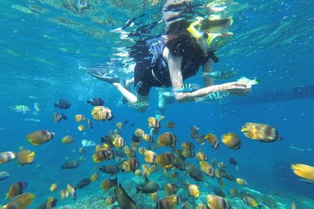 Snorkeling Manta Bay And West Penida Private Guided Tour