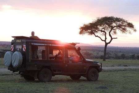 Day Tour to Maasai Mara reserve & optional maasai village visit