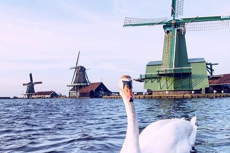 Zaanse Schans Windmills, Fishing Villages & Countryside