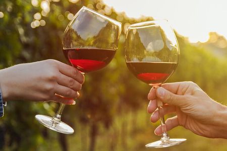 A Wine Tasting Experience in the Vineyards of the Desert