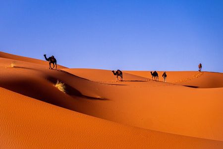 Private Desert Odyssey: Marrakech to Merzouga 3-Day Adventure
