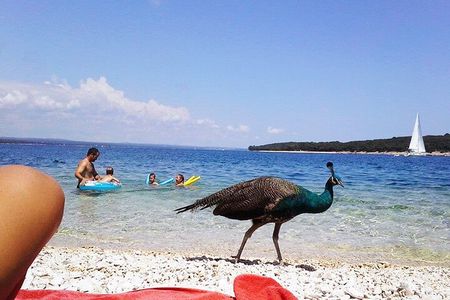 Stop on Island & National Park Day Cruise with Lunch Drinks