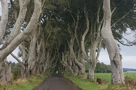 Private tour of the Antrim coast , Giants Causeway and Game of Throne locations