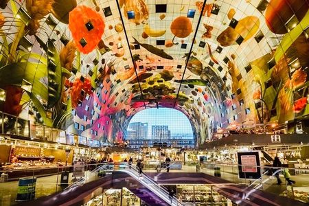 Rotterdam, Delft and The Hague Small Group Tour from Amsterdam