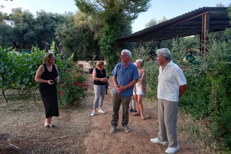 Ostuni DOC winetour and tasting.