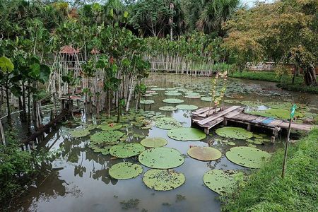 Amazon River Adventure Full Day Tour