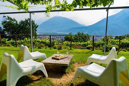 Savor Ossola Wines & Local Treats in a Scenic Vineyard