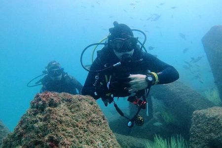 Pleasure Scuba Diving in Fujairah for Certified Diver 