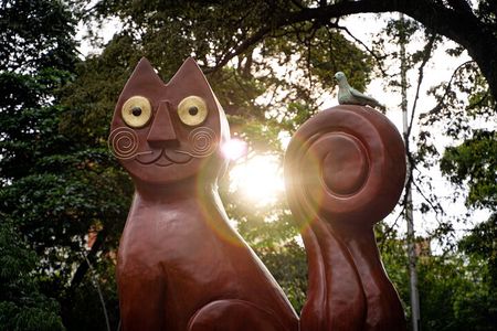 Cali: Historic city, full of stories (Special city tour)