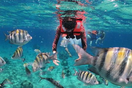 Clear Boat & Snorkel Cozumel Tour with Drinks