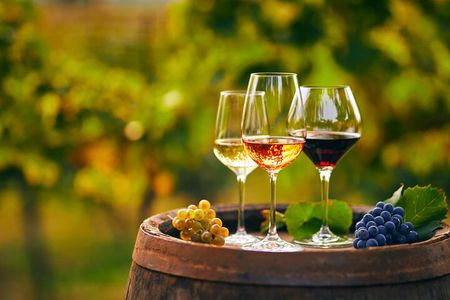 Private Tailored Full-Day Taste Tour in Lefkada with Pick Up