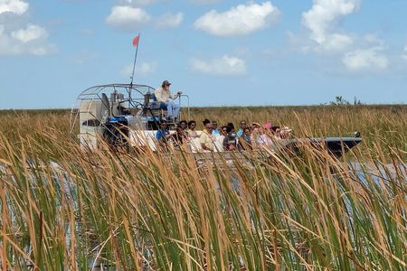 Everglades Airboat Adventure with Roundtrip Bayside Transfer