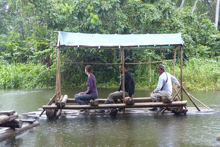 Amazon Jungle Tour 3 days 