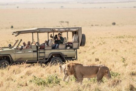 Overnight Budget Camping Tour to Maasai Mara.