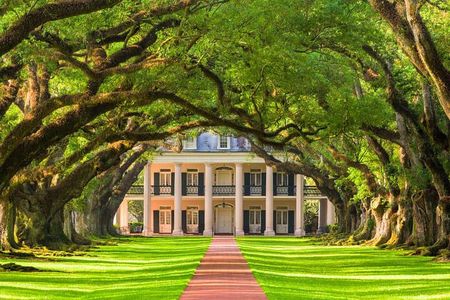 Small Airboat and Oak Alley Plantation Tour from New Orleans