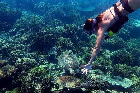 Full-Day Exclusive Private Tour to Nosy Tanikely Marine Reserve 