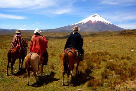 Cotopaxi Horseback Ride: El Pedregal Valley Day Tour from Quito