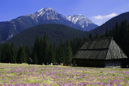 Zakopane Town in Tatra Mountains - Excursion from Krakow