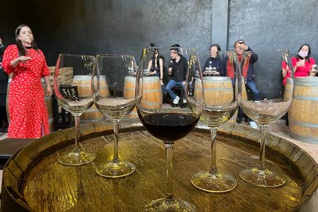 Wine and Cheese tasting at Peña de Bernal