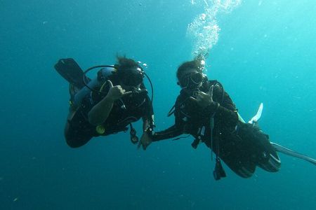 Private Half-Day Scuba Diving with expert (1Dive)