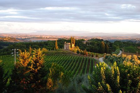Guided tour of the cellars with wine tasting and lunch