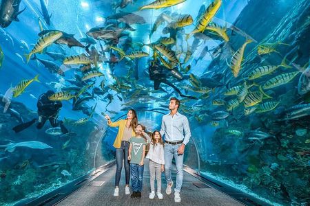 Dubai Mall Aquarium & Underwater Zoo Ticket with Private Transfer